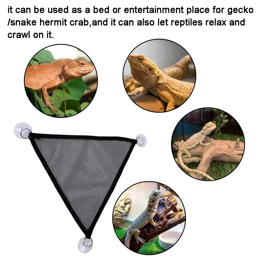 Black Lizard Hammock