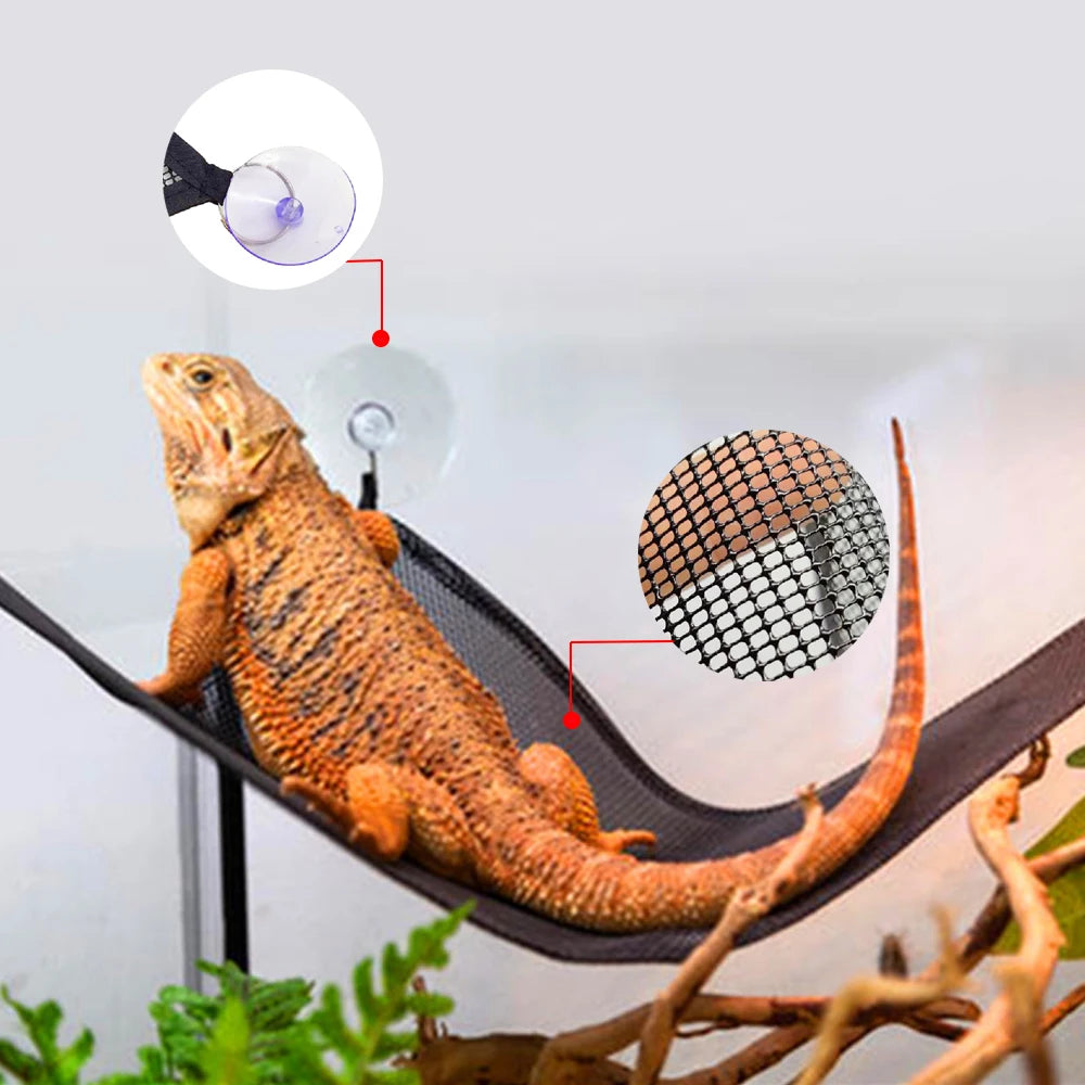 Black Lizard Hammock