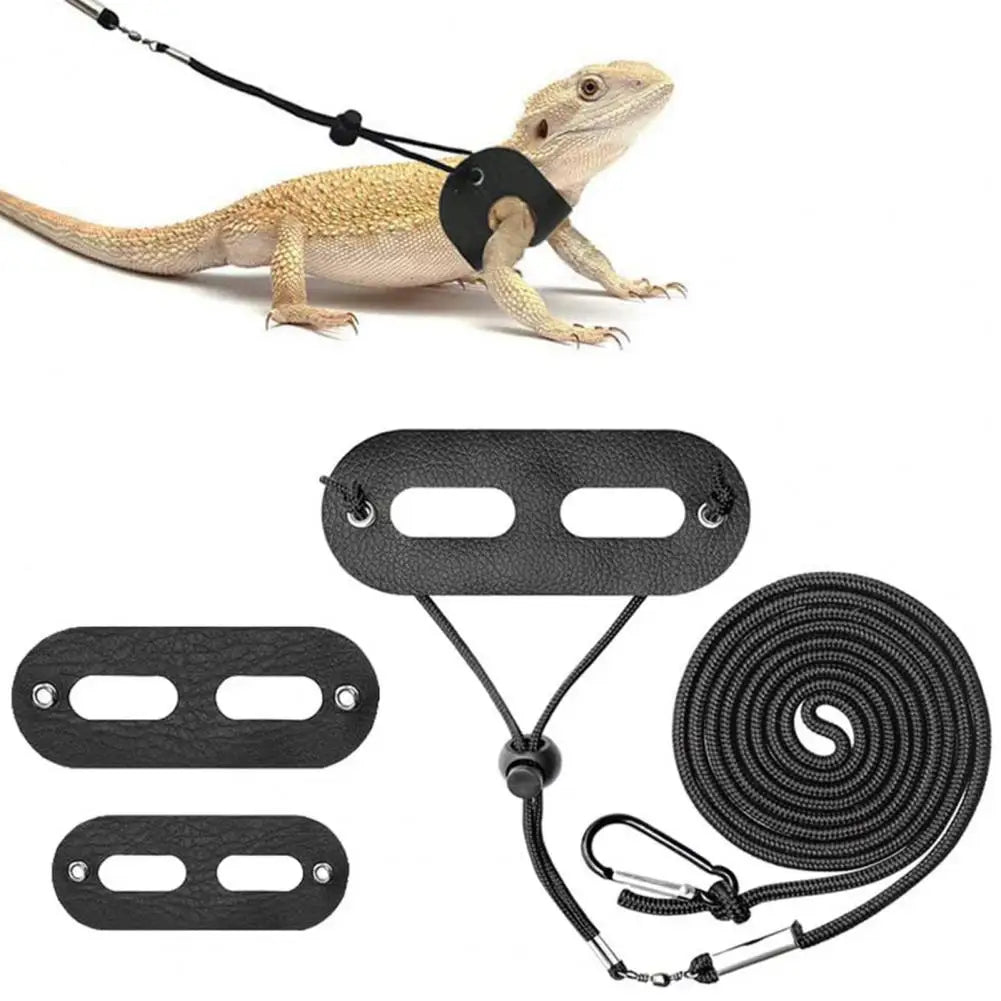 Lizard's Harness