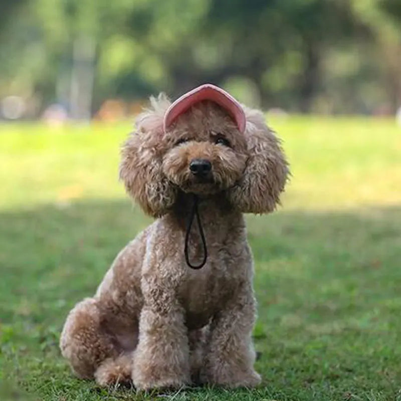 Puppy Hats