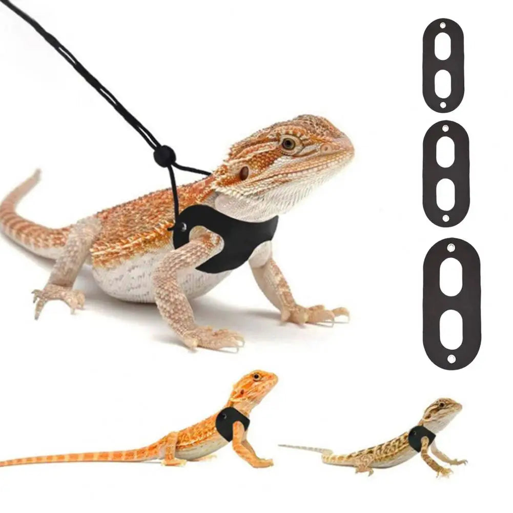 Lizard's Harness