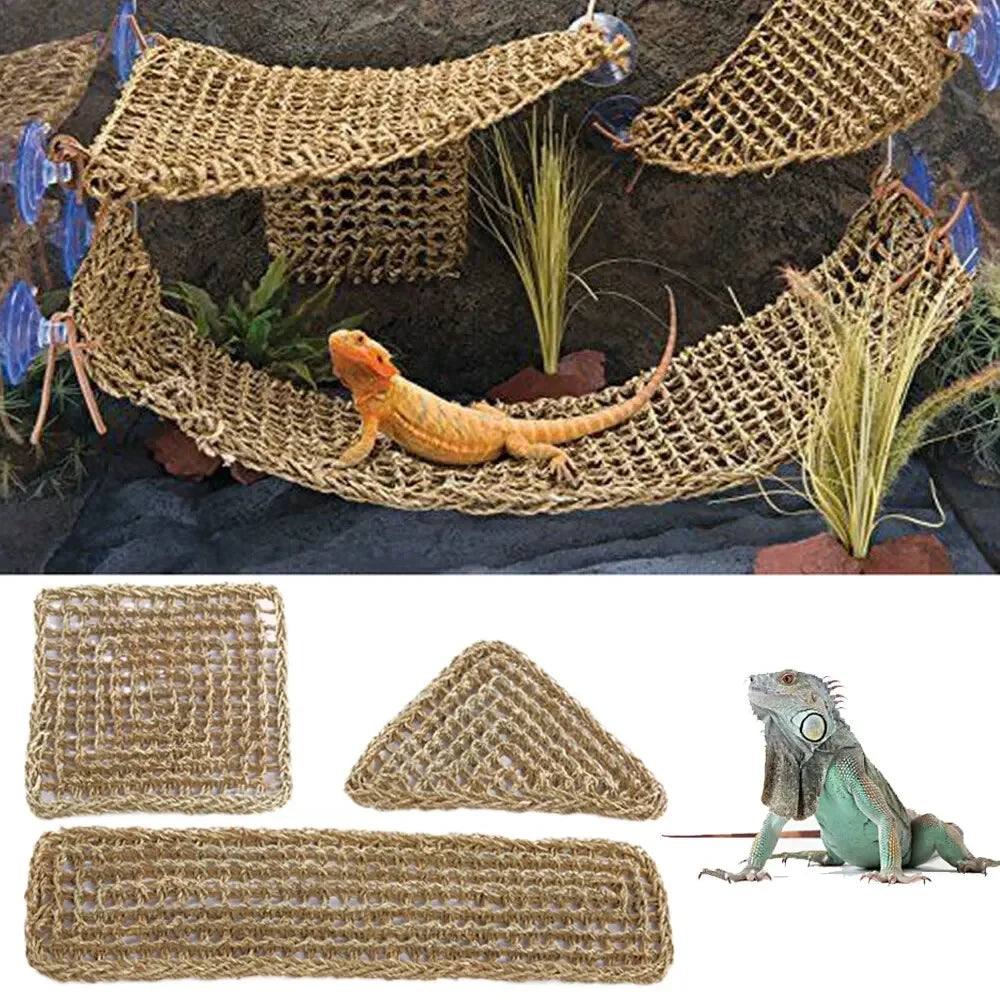 Lizard Hammock