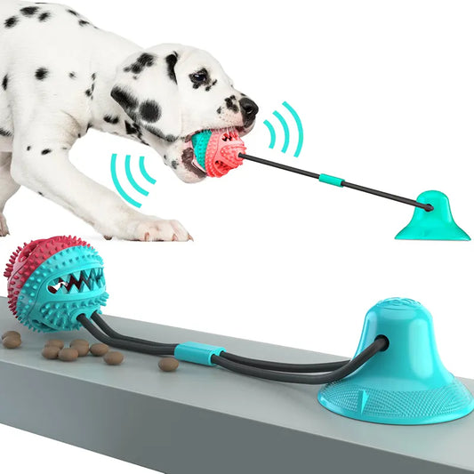 Interactive Dog Toy