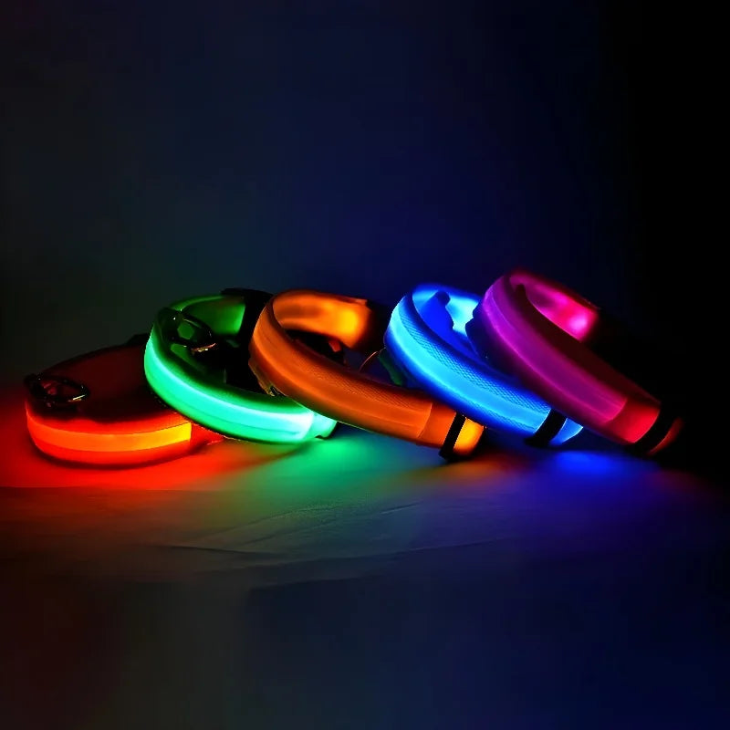 LED Night Safety Collar