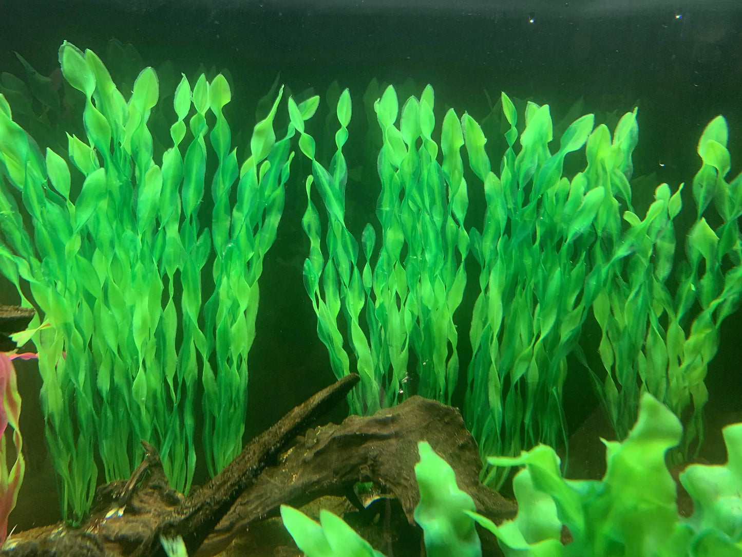 Plastic Aquarium Plants