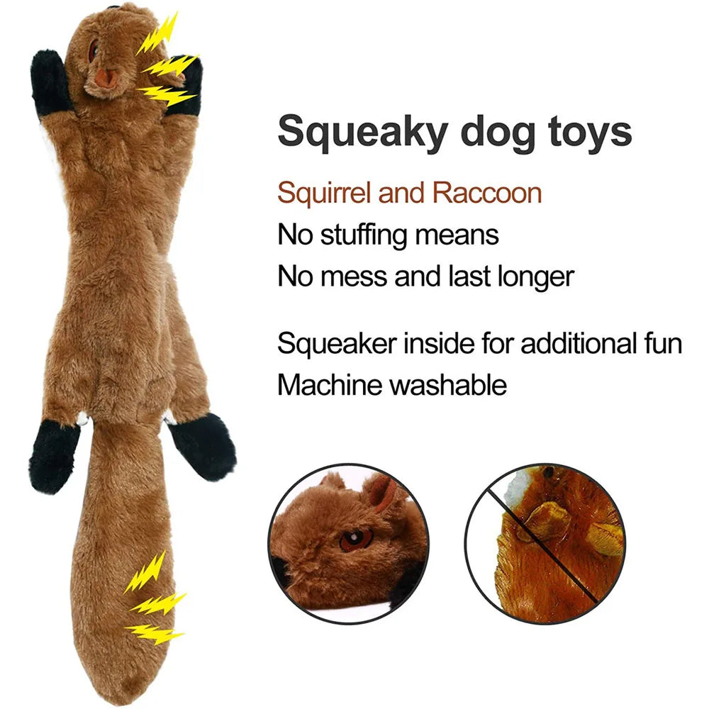 Squeaky Dog Toys