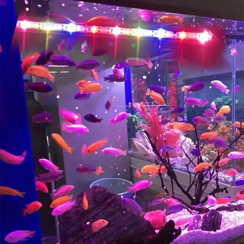 Underwater Aquarium Lights