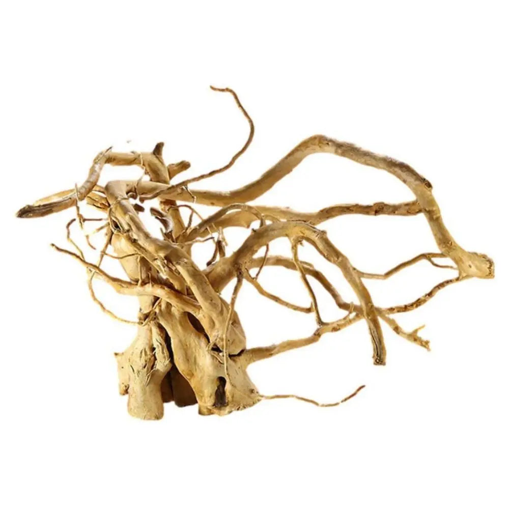 Tree Root Decor