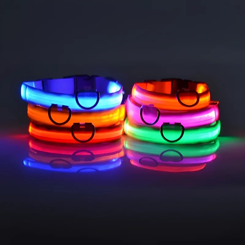 LED Night Safety Collar