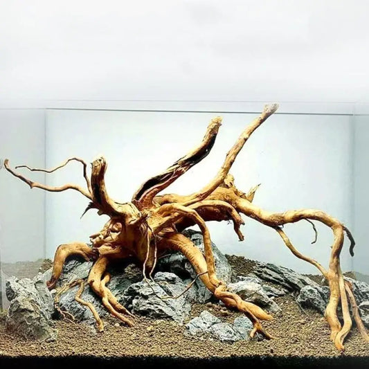 Tree Root Decor