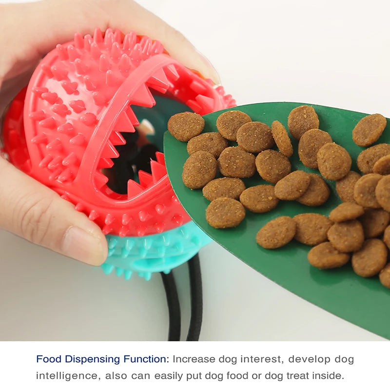 Ball Treat Dog Toy