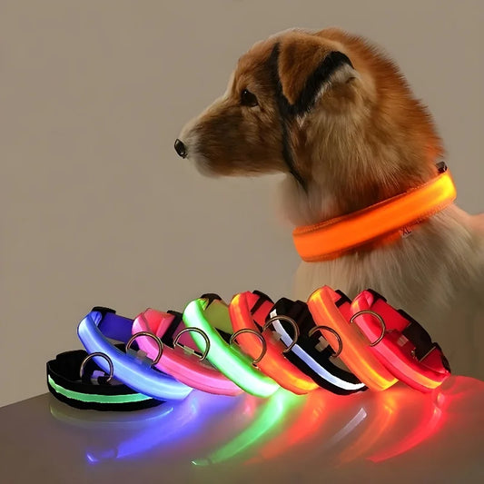 LED Night Safety Collar