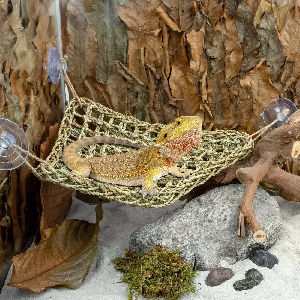 Lizard Hammock