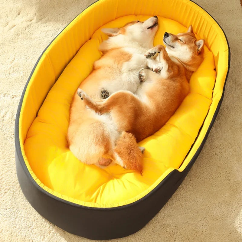 Big Doggy Bed