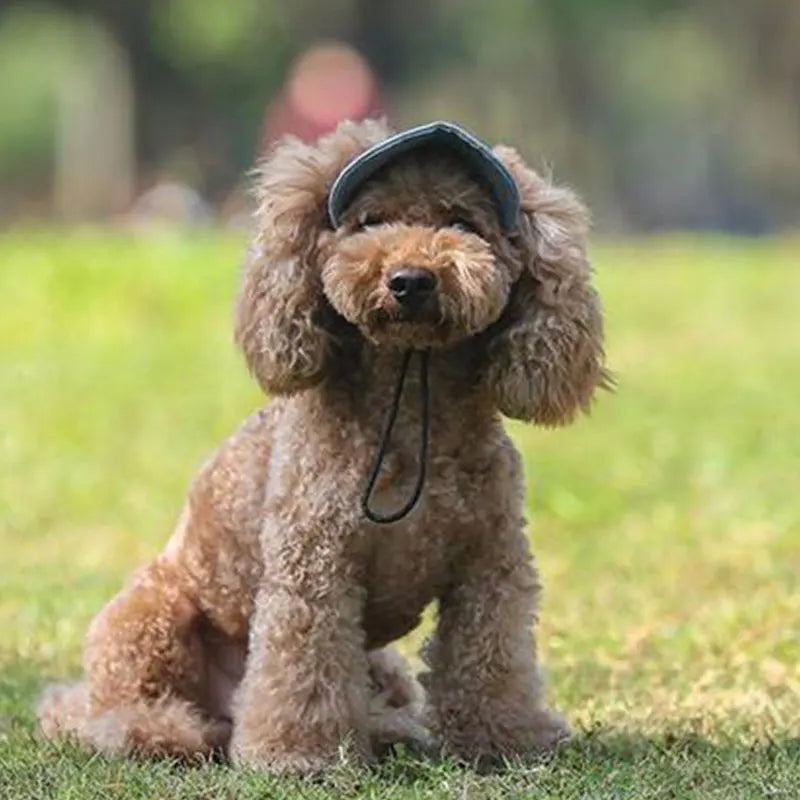 Puppy Hats