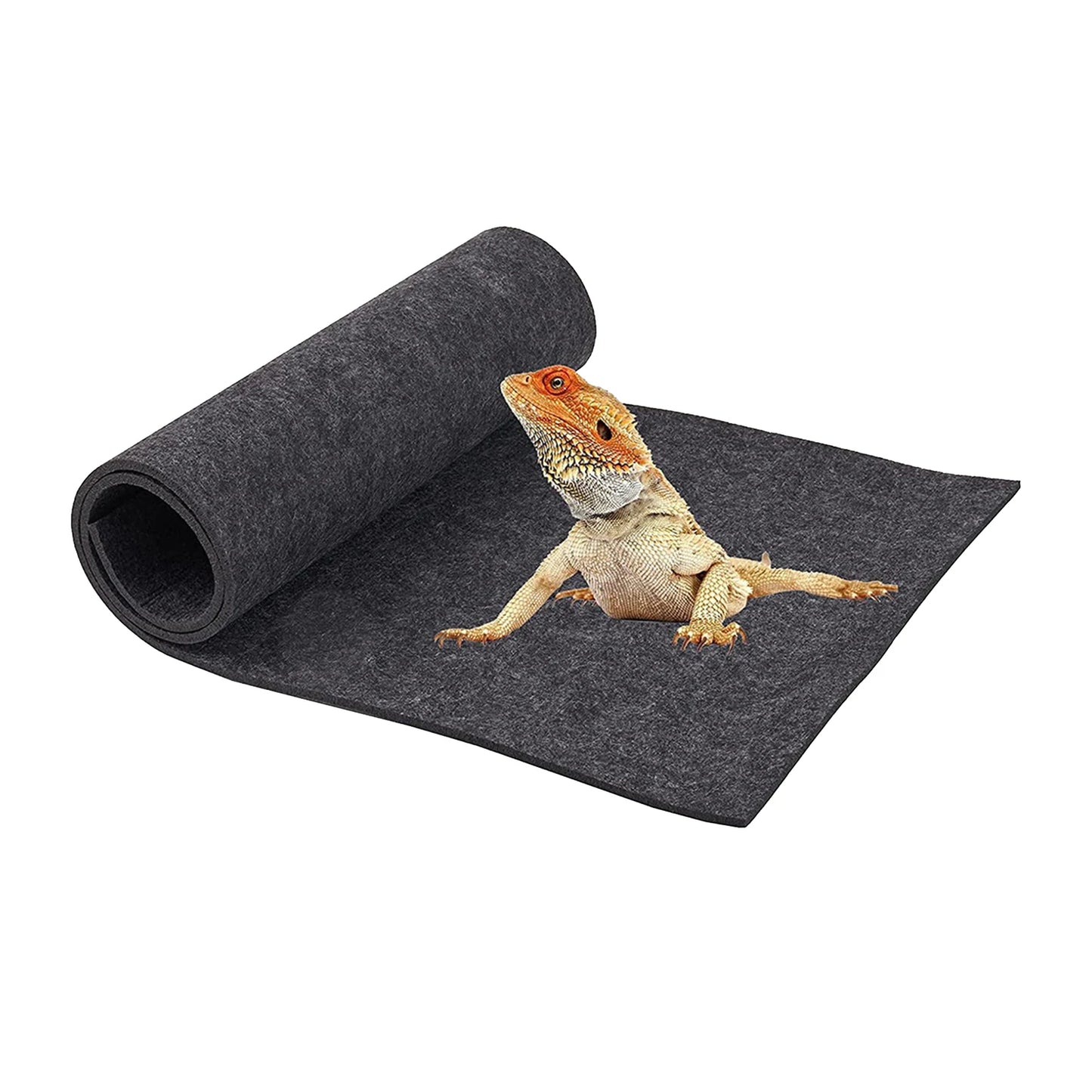 Reptile Carpet